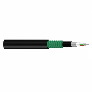 CASITEK GYTA53 outdoor optical fiber cable with stranded loose tubes, APL and PSP double-layer armour, steel strength member and PE sheath